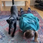 Лесно е кога имаш ваква помош: Кучето на ракометарка на Ѓер знае да прави склекови (ВИДЕО)