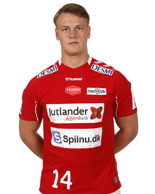valdemar hermansen