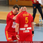 Стоилов играл повреден против Данска!