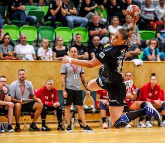 ДЕНЕСКА НА ТЕРЕНИТЕ: Џатевска, Седлоска, Младеновска…активни во домашните првенства