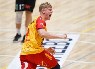 ГОГ Гудме победнички доаѓа во Битола