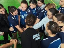 ПИОНЕРКИ: Металург Автокоманда како лидер на пауза, Ѓорче Петров и Астибо му „дишат во врат“