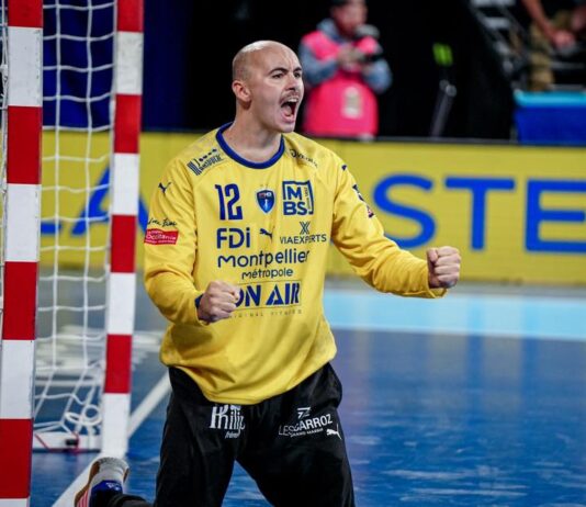 Фуксе Берлин во Монпелје бара наследник на Милосављев