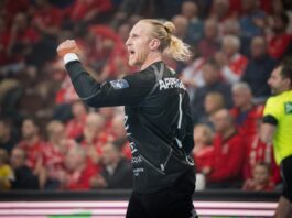 Веспрем го комплетира голманското дуо за идната сезона – Апелгрен ќе брани со Нилсен