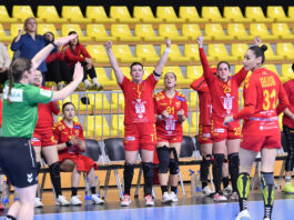 ПОЗНАТИ СОСТАВИТЕ: Грчевски избра за Словенија – има една промена во однос на Германија