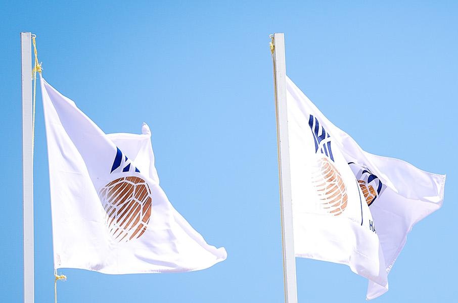 flags1440